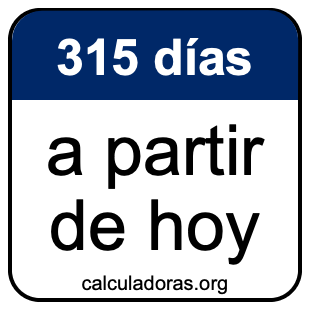 315 días a partir de hoy